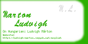 marton ludvigh business card